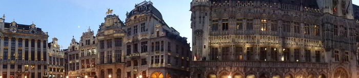 DSC01647 - 2014 BELGIA BRUXELLES