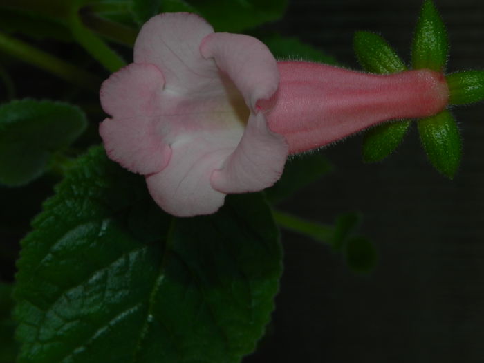DSCN8283