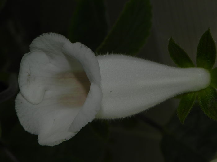 DSCN8286