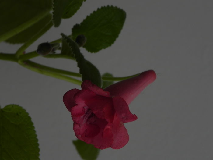 DSCN8360