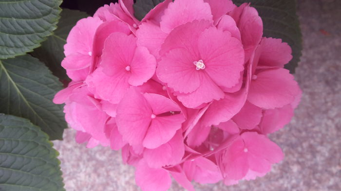 20150629_093654