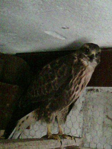 11665404_999914380053225_2494199118444999037_n