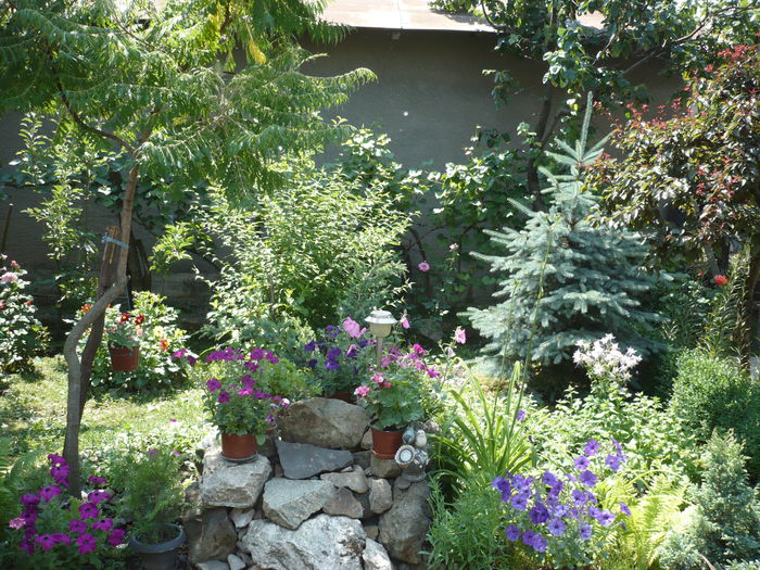 Picture 828