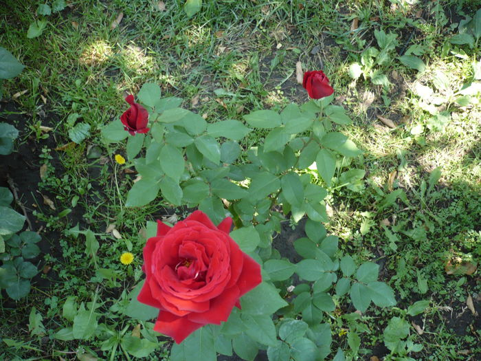 Picture 834