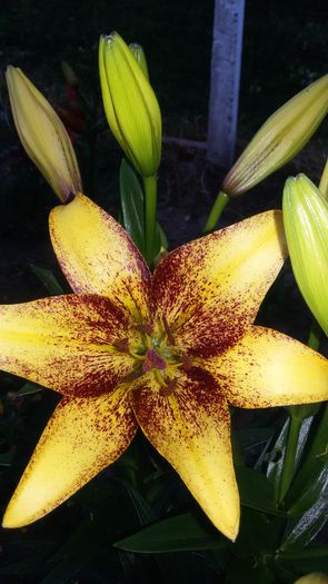20150628_211118