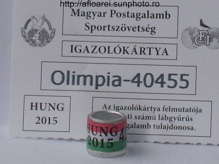 hung 2015 - OLIMPIA