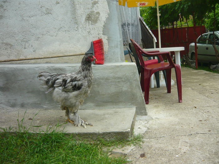P1140911