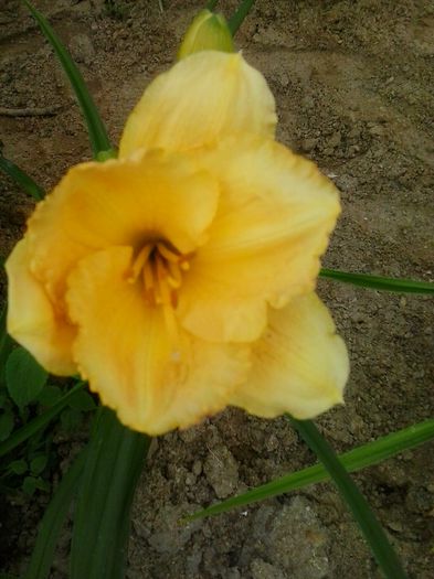20150627_161055
