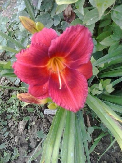 20150627_161226