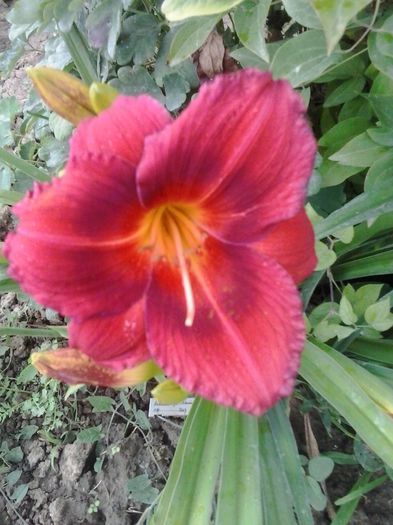 20150627_161233