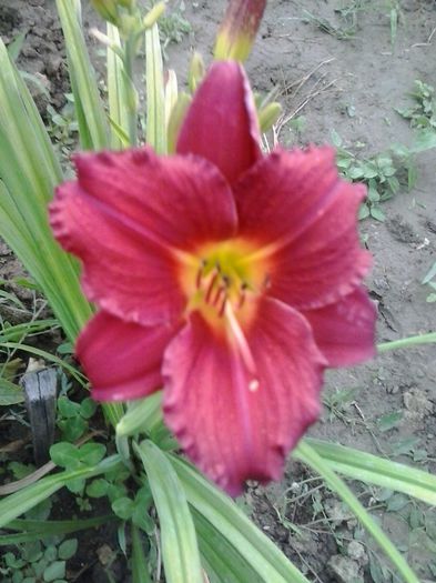 20150627_161250