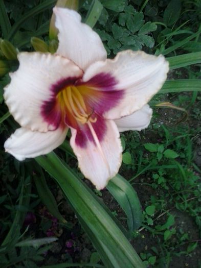 20150627_161302