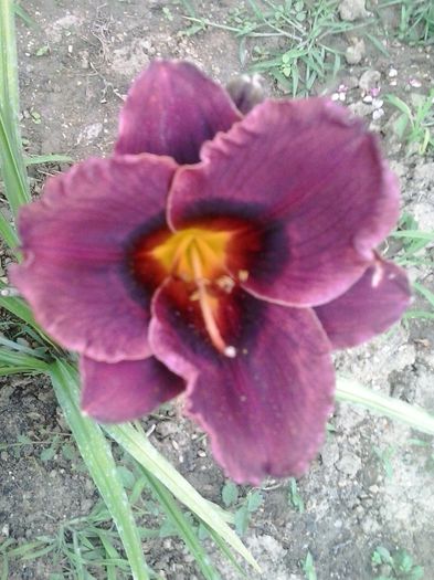 20150627_161326