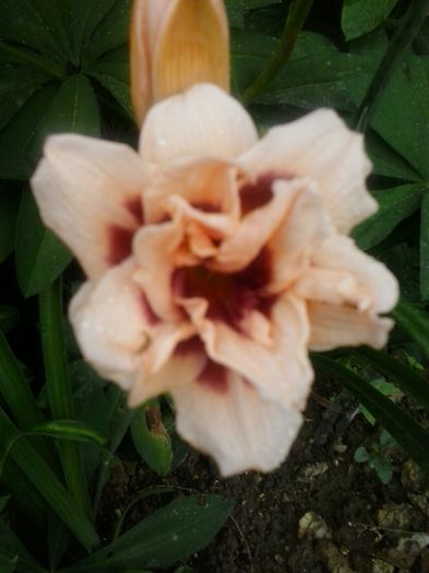 20150627_161904