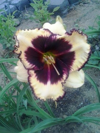 20150628_070035