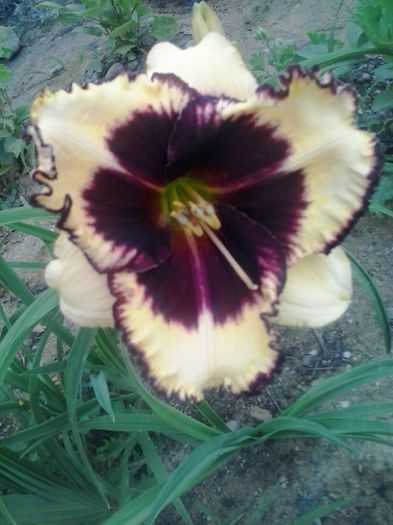 20150628_070040
