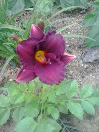 20150628_070058