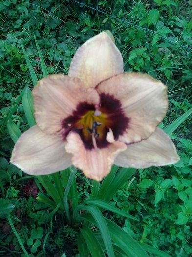 20150628_070345