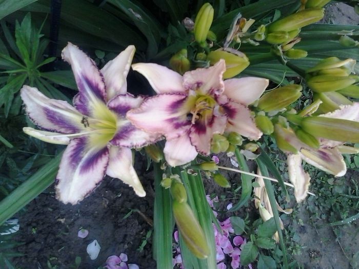 20150628_070436