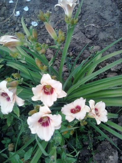 20150628_070517