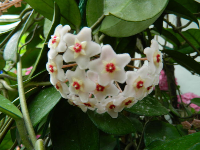 DSCN1656