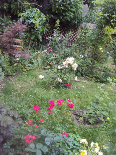 DSC00368