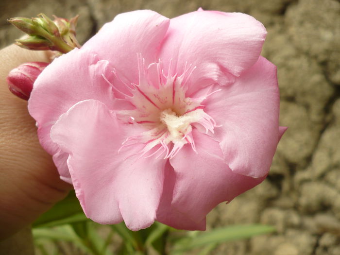 P1120276