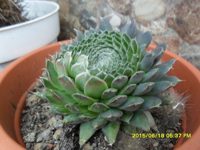 SAM_0308