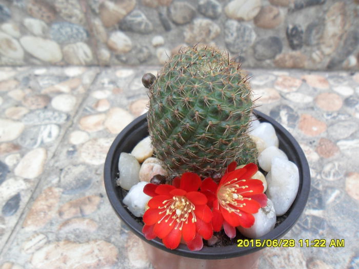 SAM_0416