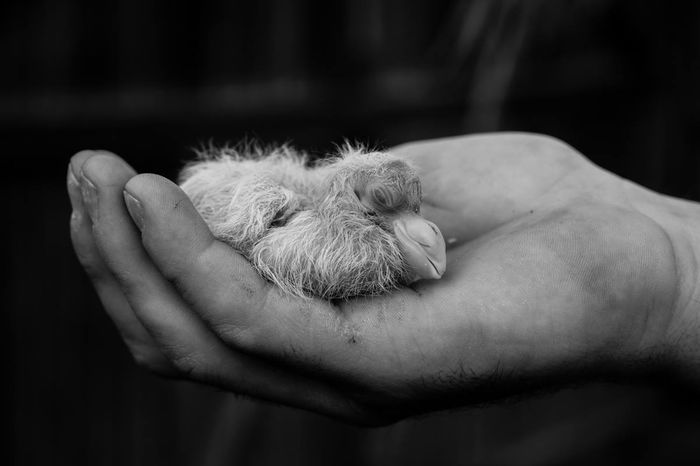 11271743_878813708842906_306811785_o