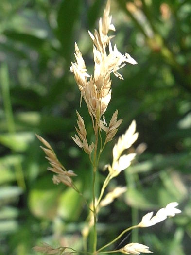 P6300089