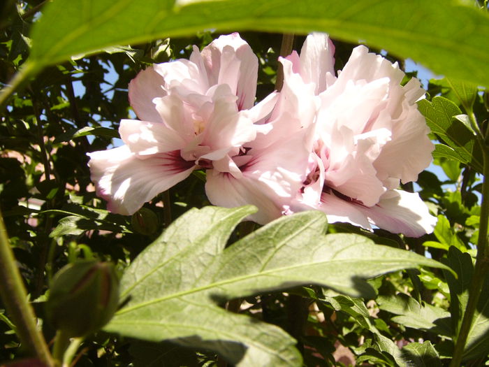 P1240856