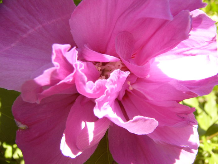 P1240859