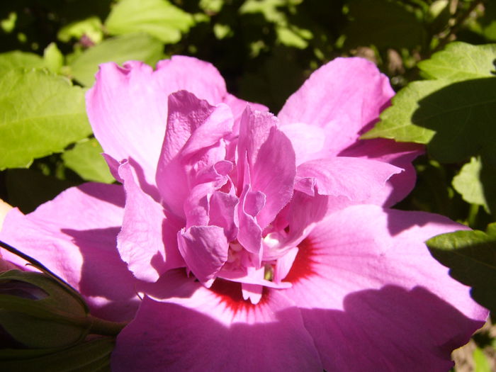 P1240861