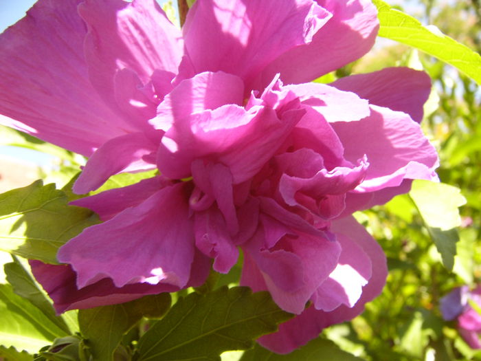 P1240864
