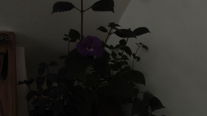 021