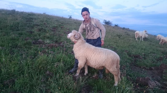 DSC_1047 - oi bale