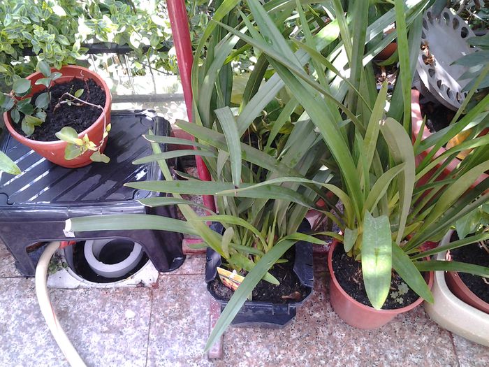 astia 2 au deja vechime la mine..