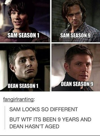 dean-winchester-jared-padalecki-jensen-ackles-misha-collins-Favim.com-2397490 - x-The mysterious Jared Padalecki