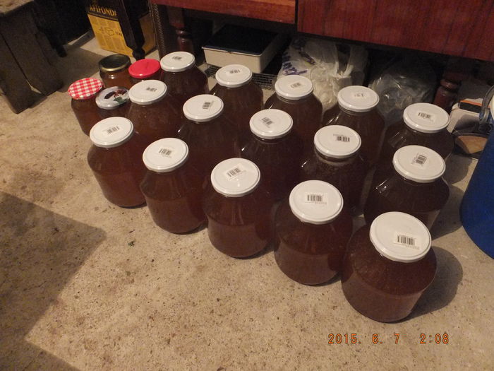 DSCF1241; O parte din recolta de doar 70 kg :)
