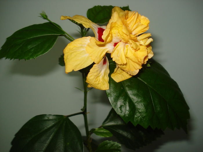 DSC02226