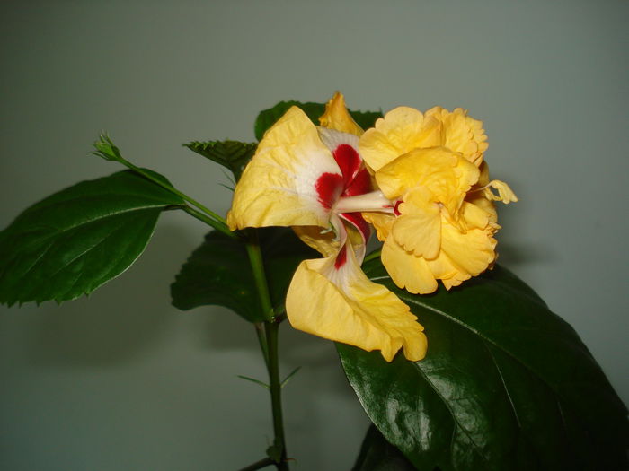 DSC02228