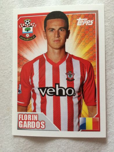 14-15 Southampton - Florin Gardos