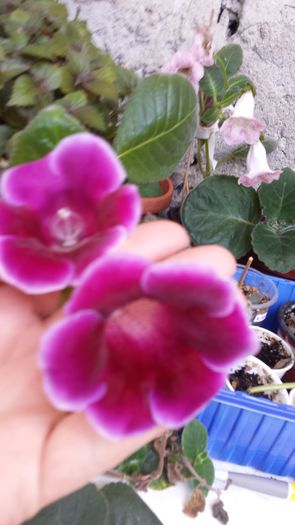 20150702_165047