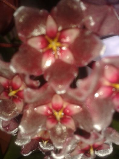 20150702_184933