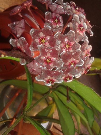 20150702_202811