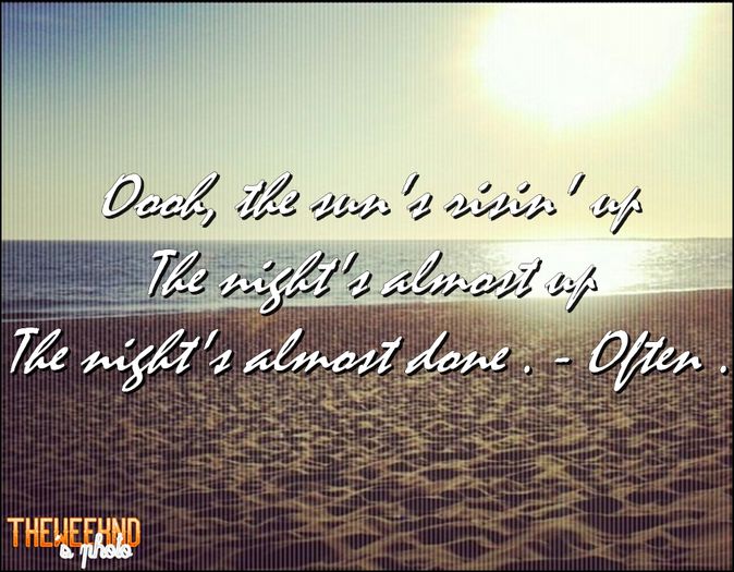 ● ƑƦЄЄƊƠM - ƠƑƬЄƝ .