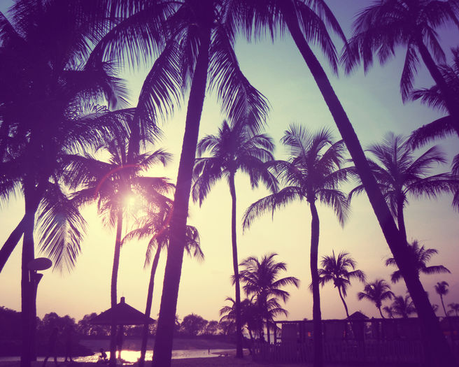 tumblr-summer-backgrounds-1