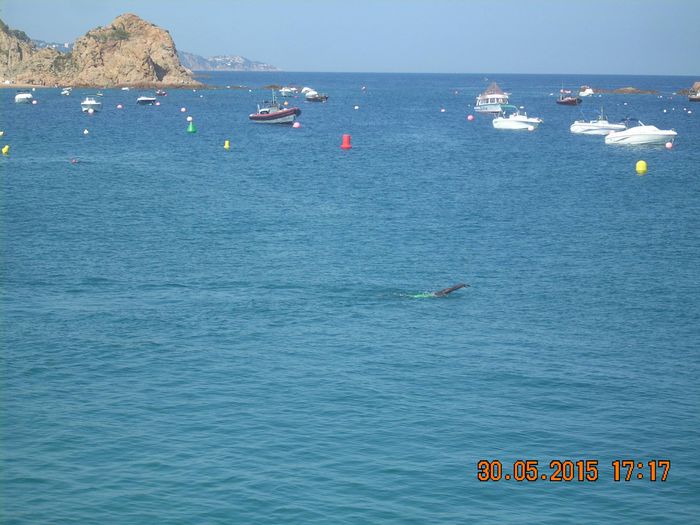 11147150_892435170823507_4781452205645074868_o