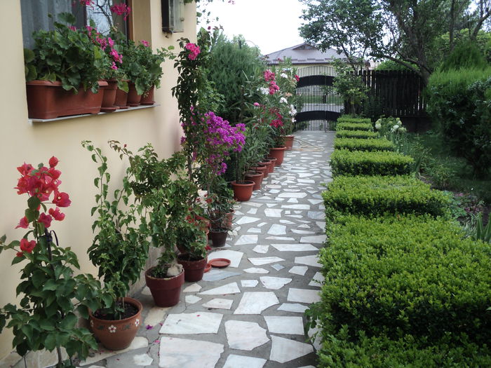 DSC02830
